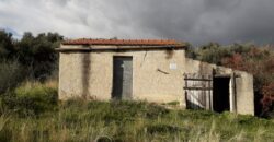Casteldaccia: Terreno Contrada Suppietro