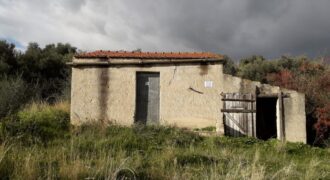 Casteldaccia: Terreno Contrada Suppietro