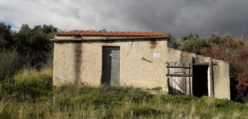 Casteldaccia: Terreno Contrada Suppietro