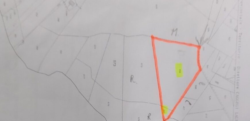Casteldaccia: Terreno Contrada Suppietro