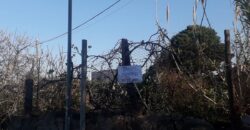 Bagheria: Terreno Contrada Cordova