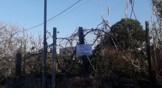Bagheria: Terreno Contrada Cordova