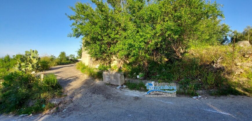 Casteldaccia: Terreno Contrada Mastro Mario