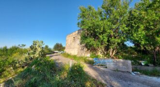 Casteldaccia: Terreno Contrada Mastro Mario