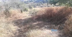 Bagheria: Terreno Contrada Villa Rosa