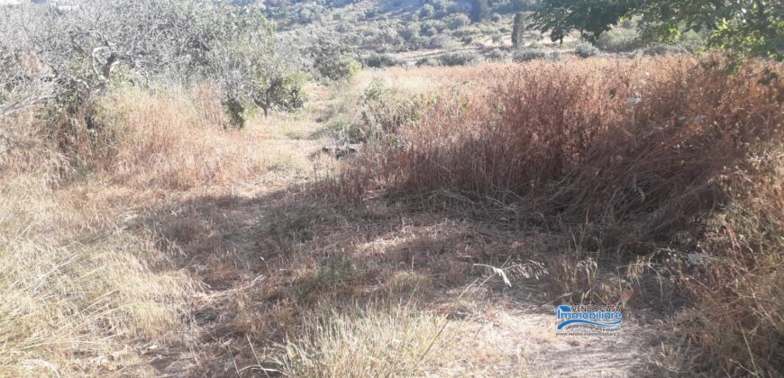 Bagheria: Terreno Contrada Villa Rosa