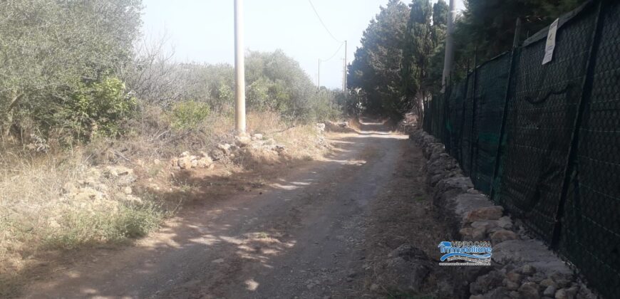 Trabia : Terreno Contrada Piano della Placa