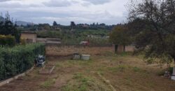 Ficarazzi : Terreno Corso Umberto 1°