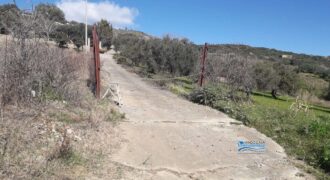 Casteldaccia: Terreno Contrada Corvo