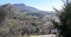 Casteldaccia: Terreno Contrada Corvo