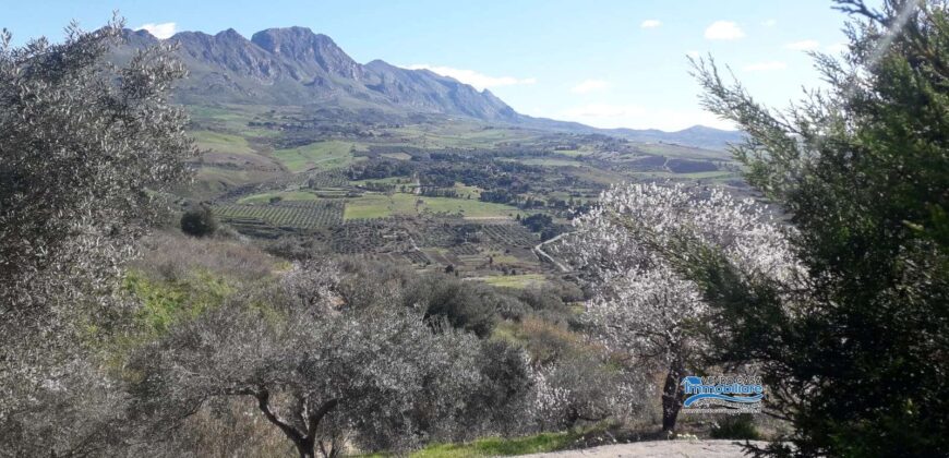 Casteldaccia: Terreno Contrada Corvo