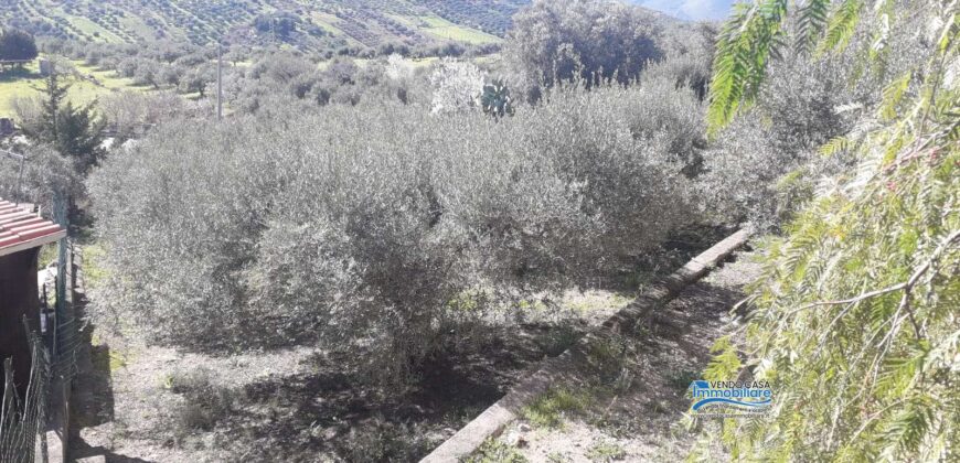 Casteldaccia: Terreno Contrada Corvo