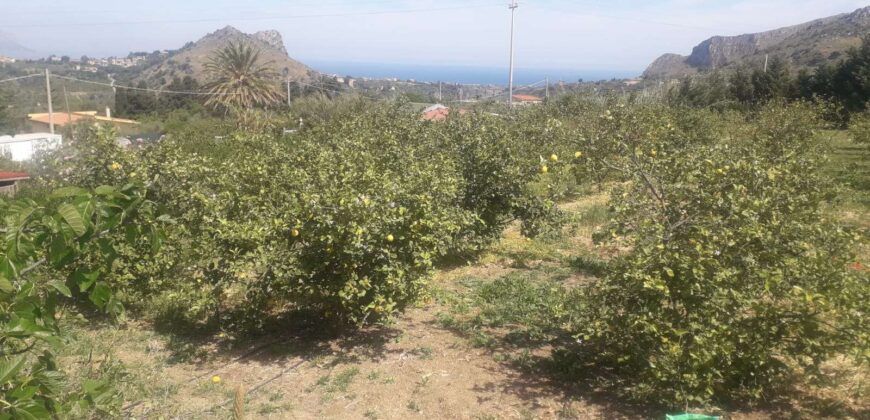 Bagheria: Terreno Contrada Fiadotto