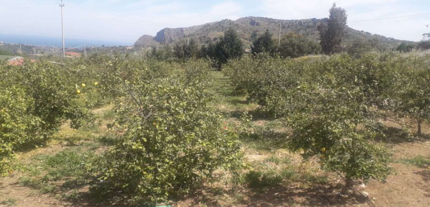 Bagheria: Terreno Contrada Fiadotto