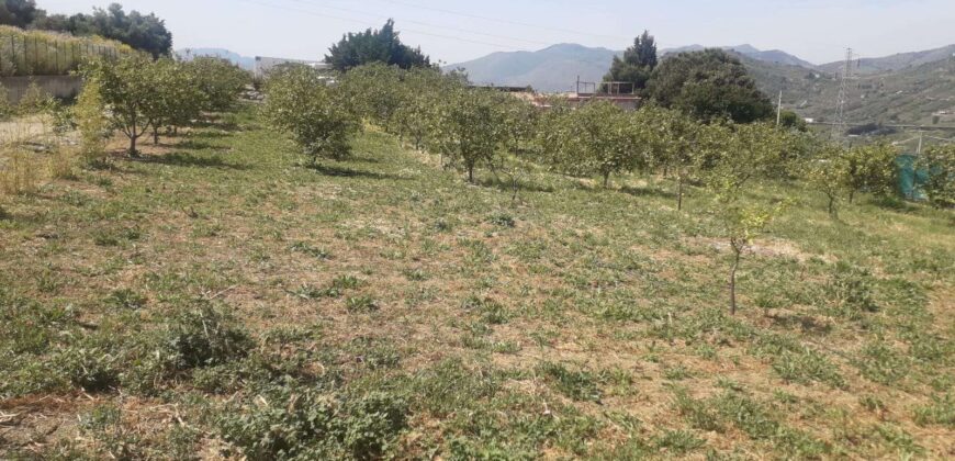 Bagheria: Terreno Contrada Fiadotto