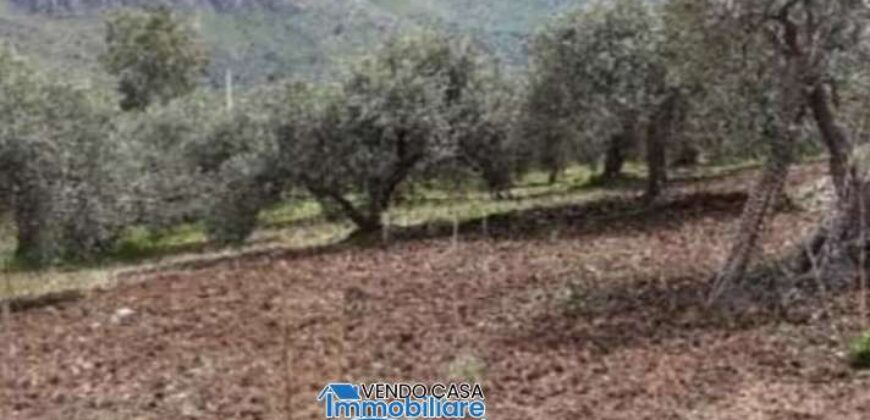 Casteldaccia : Terreno Contrada Valle Corvo (Mirio)
