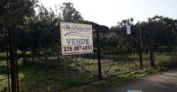 Trabia : Terreno Contrada Piani 2