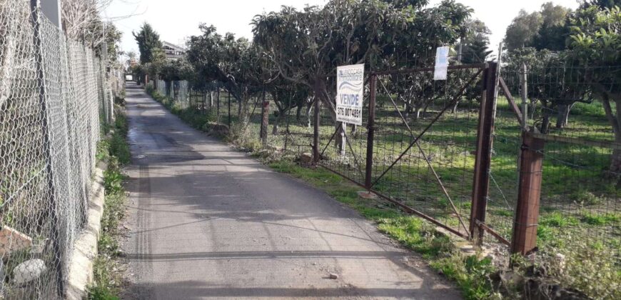 Trabia : Terreno Contrada Piani 2