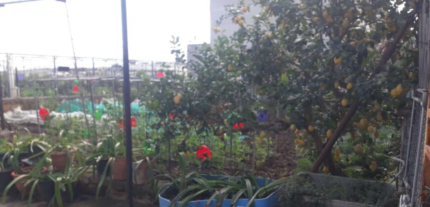 Bagheria : Terreno Contrada Incorvino