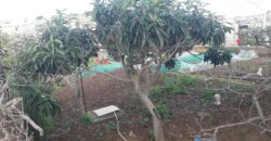 Bagheria : Terreno Contrada Incorvino