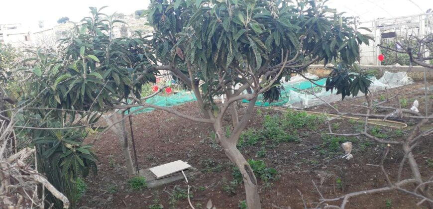 Bagheria : Terreno Contrada Incorvino