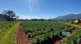 Palermo : Terreno Via Partanna Mondello