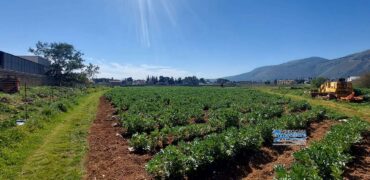Palermo : Terreno Via Partanna Mondello