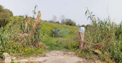 Bagheria : Terreno Contrada Incorvino