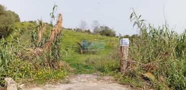 Bagheria : Terreno Contrada Incorvino