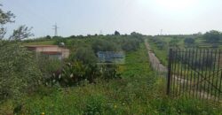 Casteldaccia : Terreno Contrada Ciandro