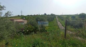 Casteldaccia : Terreno Contrada Ciandro