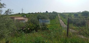 Casteldaccia : Terreno Contrada Ciandro