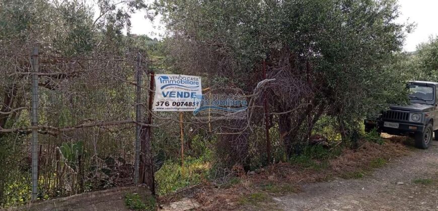 Casteldaccia : Terreno Contrada Ciandro