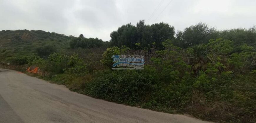 Casteldaccia : Terreno Contrada Dagala