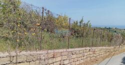 Casteldaccia : Terreno Contrada Brogna