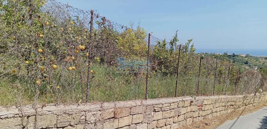 Casteldaccia : Terreno Contrada Brogna
