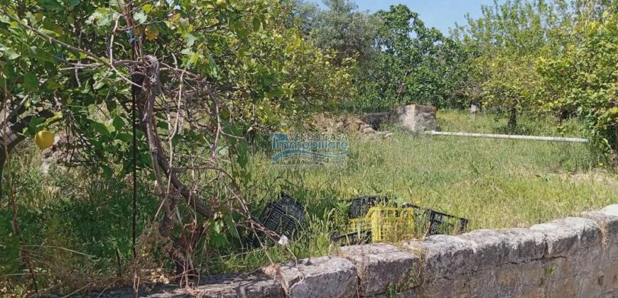 Casteldaccia : Terreno Contrada Brogna