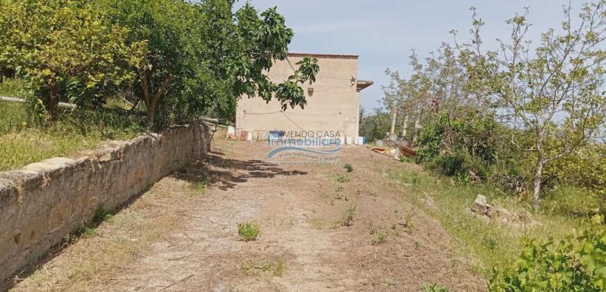 Casteldaccia : Terreno Contrada Brogna