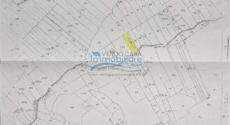 Casteldaccia : Terreno Contrada Grifeo