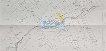 Casteldaccia : Terreno Contrada Grifeo