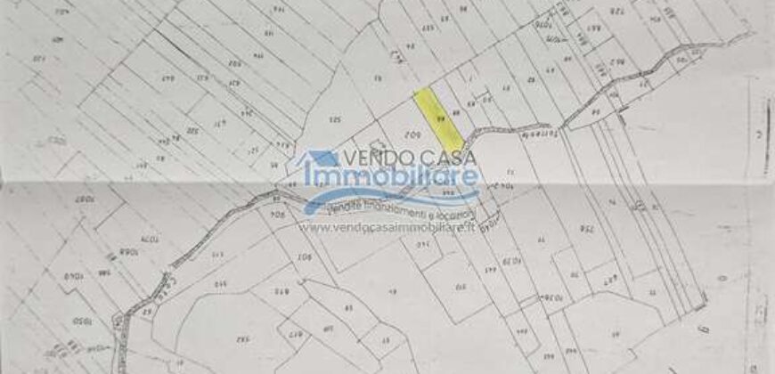 Casteldaccia : Terreno Contrada Grifeo
